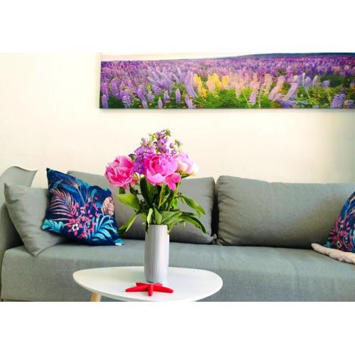 SeaStar Apartment