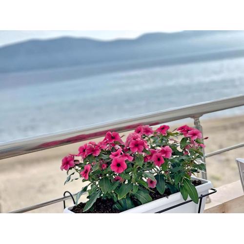 SeaView Apartments Rental Vlore