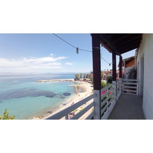 Seaview House