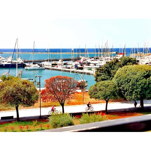 SeaView Studio