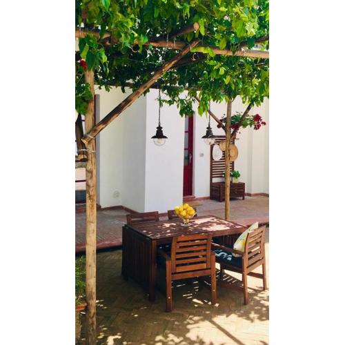 SECRET GARDEN apartment