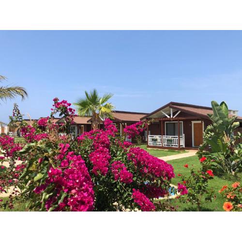 Sedir Park - Beach Bungalow