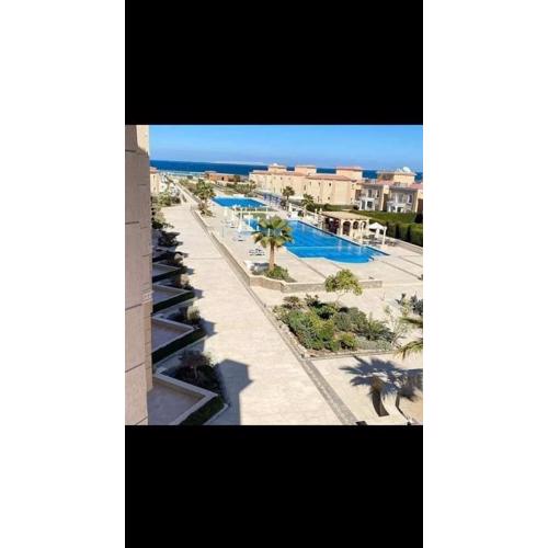 selena bay resort