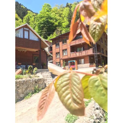 ŞEN BUTİK OTEL ve BUNGALOV