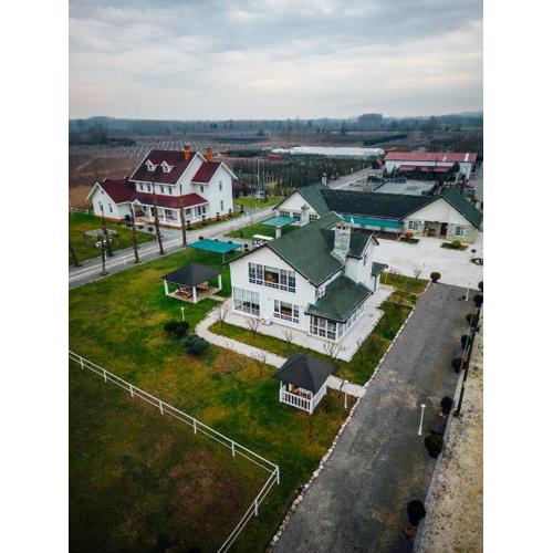 Serbesler Botanik, No 1 Comfortable Villa