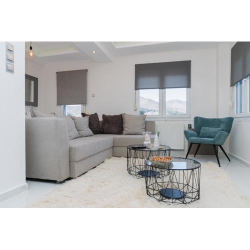 Serene Apartment