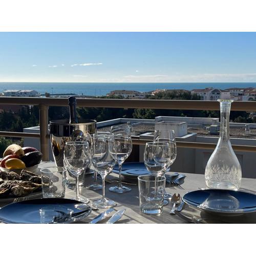 Sète vue mer, secteur des plages, T3 de standing climatisé avec grande terrasse
