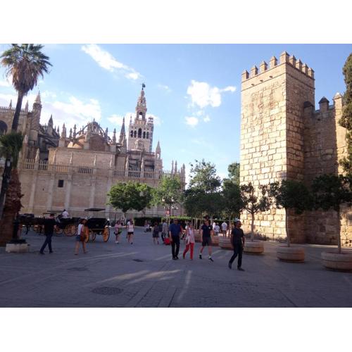 Sevilla Chic Alfalfa 1BR, 1 BA, AC, WiFi, Calm
