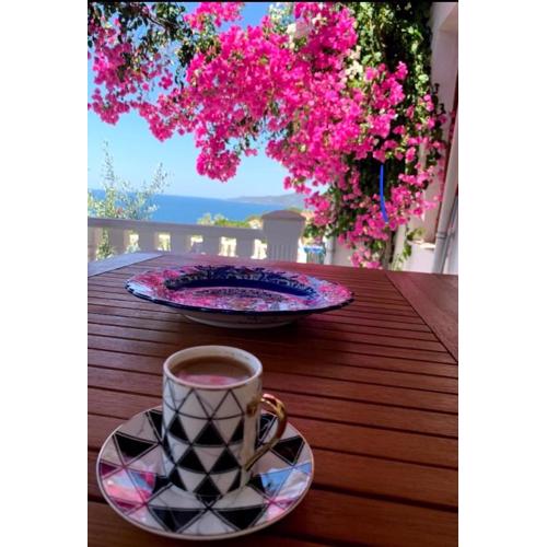 Sevinc Papatya House
