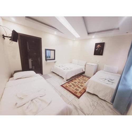 shah sultan Ozturk Hotel