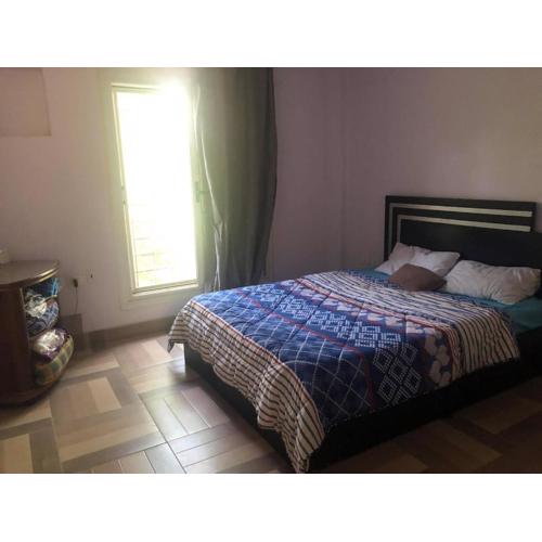 Shared Appartment
