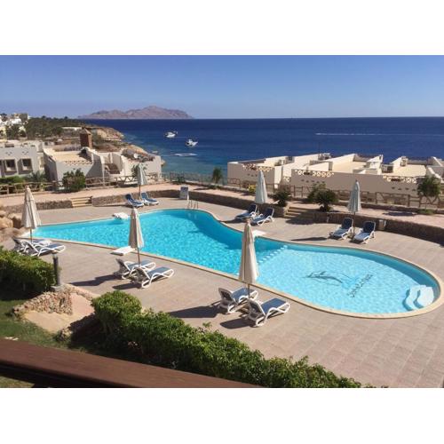 Sharks Bay Oasis Apartment