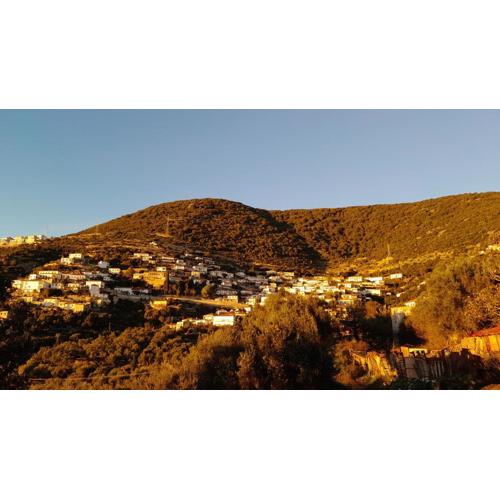 Shkolla Hostel & Camping
