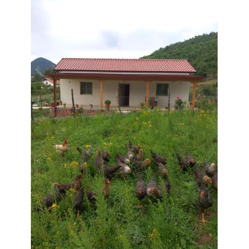 Shpija E AMEL (Sweet Guest House)