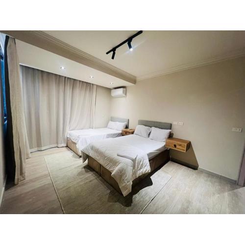 Side nile view apartment in zamalek