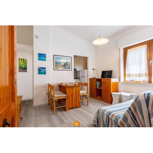 Simius Apartment