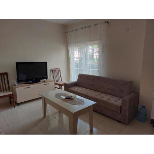 Simple Apartment