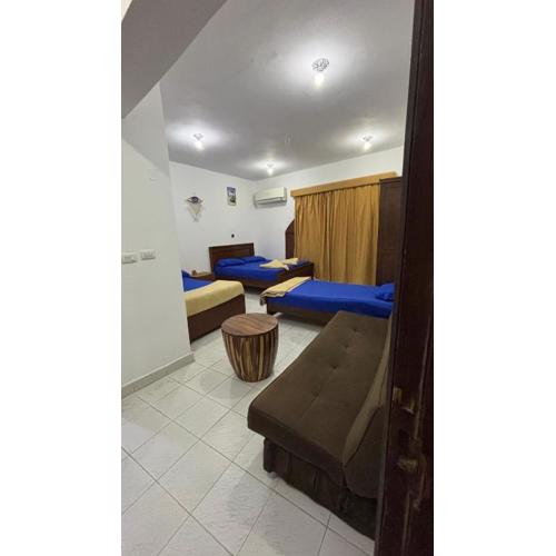 Sina house