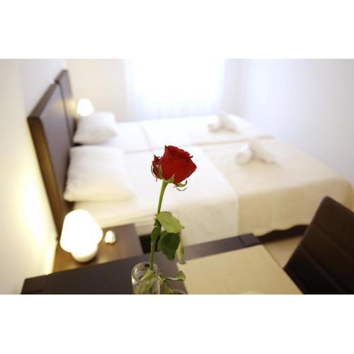 Sites Of Zadar Rooms