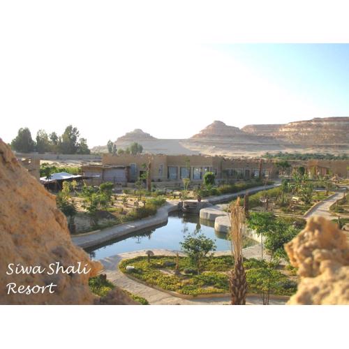 Siwa Shali Resort