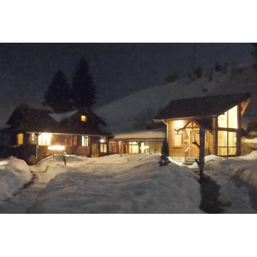 Ski liviomoritz at gma il com Chalet