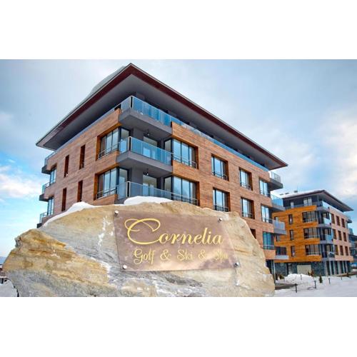 Ski Retreat Spa Pool and Mountain Views