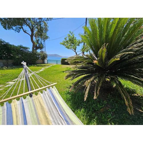 Skyros BnB Beach House Amaryllis