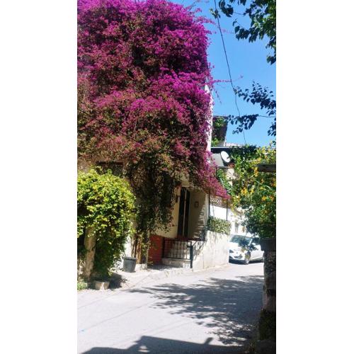 Small House