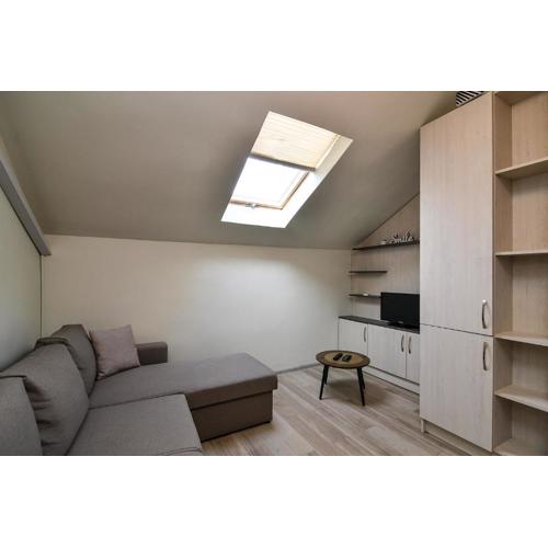 Small studio on budget in the heart of city