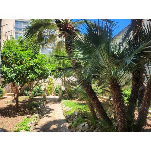 Soavis garden in downtown 2 bedrooms