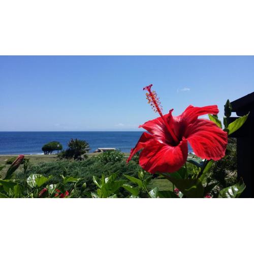 Sogno sul mare