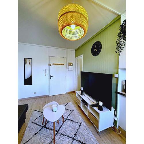 SOH Rent Strasbourg appartement wifi terrasse