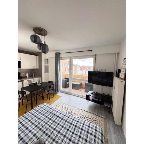 Soh Rent Strasbourg Wifi Terrasse St Aloise