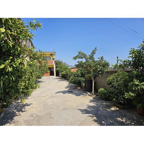 Sokol Guest House