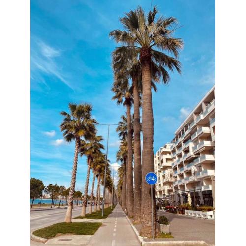 SOLE VLORA APARTMENT