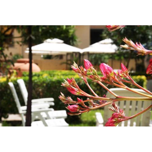 Solemare Accommodation Alghero