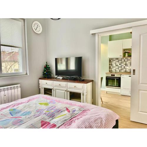 Solunska Stylish Apartment