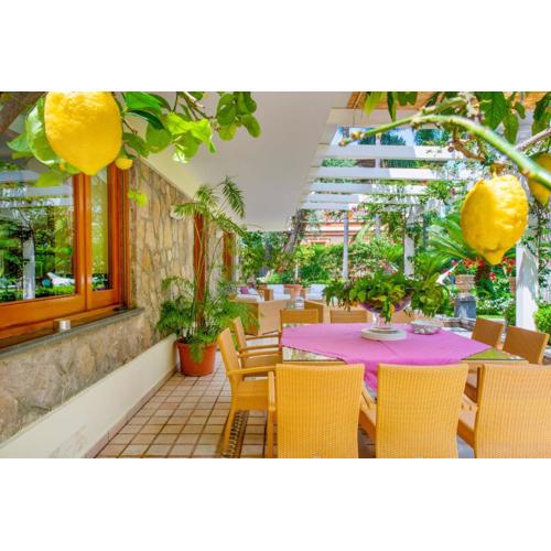 SorrentoVibes - Villa in Sorrento Center with gardens and outdoor space