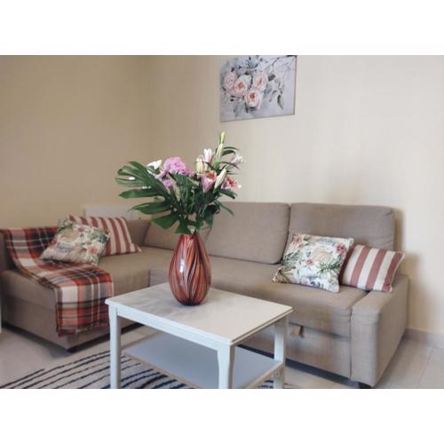 Spacious apartment La Mata pool&beach
