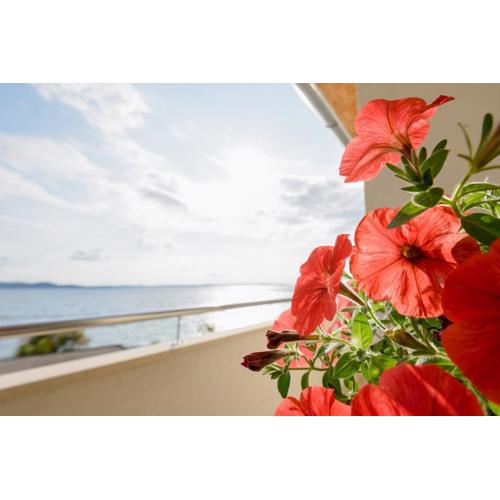 Spacious apartment near the Sea