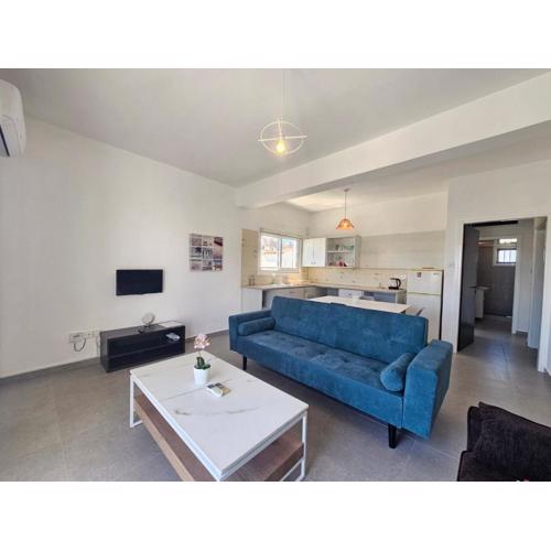 spacious apt in the center