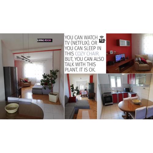 Spacious family apartment with parking in the shade and barbecue house
