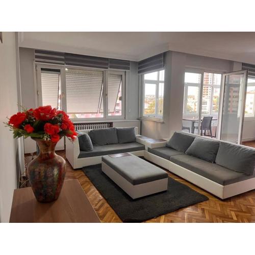 Spacious flat with wide view