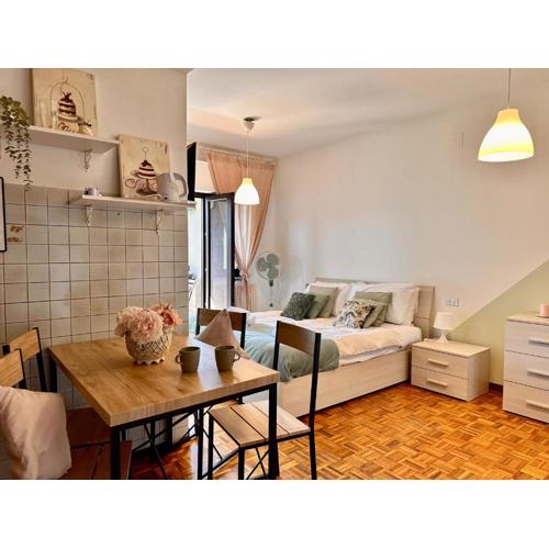 Spacious Studio Apartment with Terrace