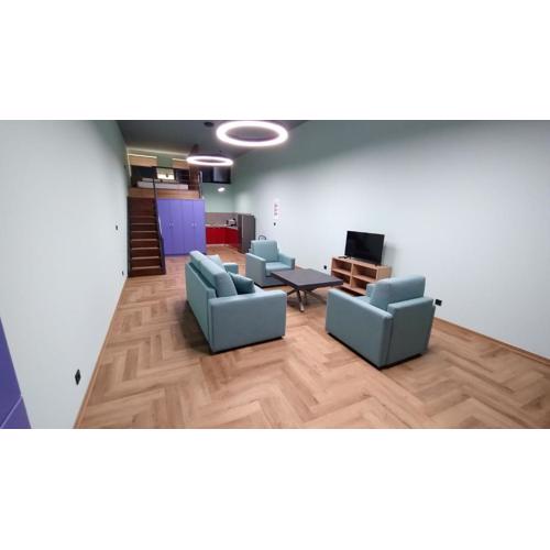 Spacious studio next to city center