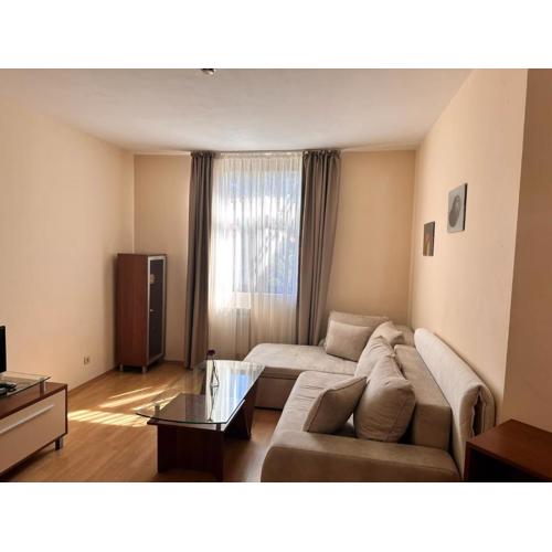Spacious studio sleeps 4 in Flora main building 706A
