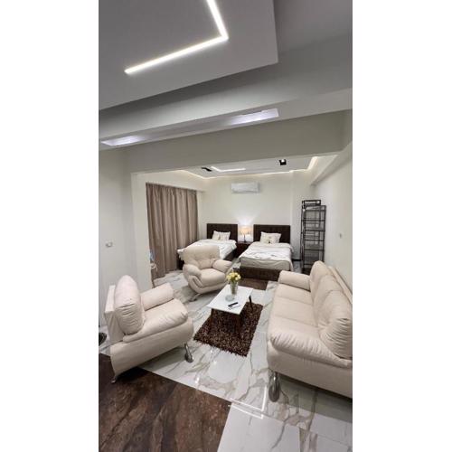 Special studio in private villa in new cairo 90 street villa 255 Panafsig 11