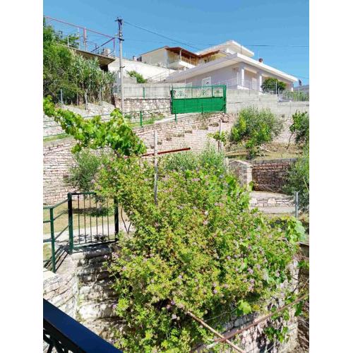 Spiros House