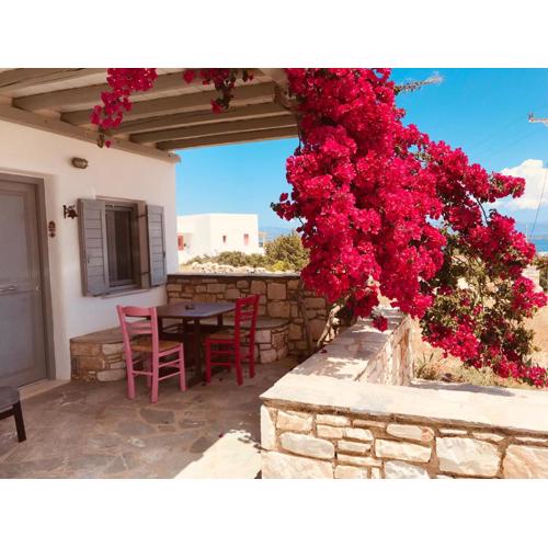 Spiti su in Paros - Dryos