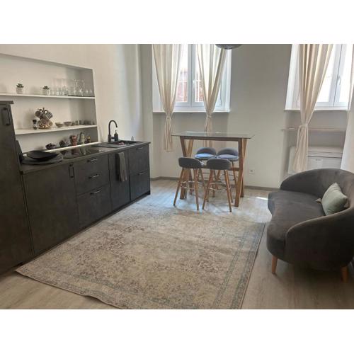 Splendido Loft Centro Storico Parma